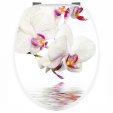 Naklejka na WC - Biała Orchidea