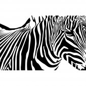 Naklejka ścienna - Zebra