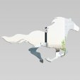 Akrylowe Lustro Plexiglas - Koń