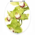 Naklejka na WC - Zielona Orchidea