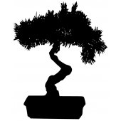 Naklejka ścienna - Bonsai