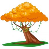 Naklejka ścienna Dla Dzieci - Drzewo i Pomarańcze