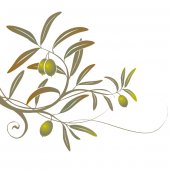 Naklejka ścienna Dla Dzieci - Gałązka oliwna