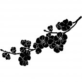 Naklejka ścienna - Gałąź  i Kwiaty Wiśni