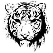 Naklejka ścienna - Głowa Tygrysa