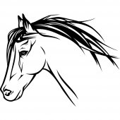 Naklejka ścienna - Koń