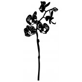 Naklejka ścienna - Kwiat Azji