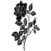 Naklejka ścienna - Kwiat Róży