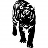 Naklejka ścienna - Tygrys