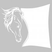 Naklejka Tablica Biała Velleda - Koń