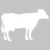 Naklejka Tablica Biała Velleda - Krowa