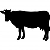 Naklejka tablica - Krowa