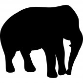 Naklejka tablica - Słoń