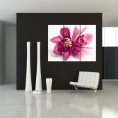 Tryptyk Forex - Orchidee